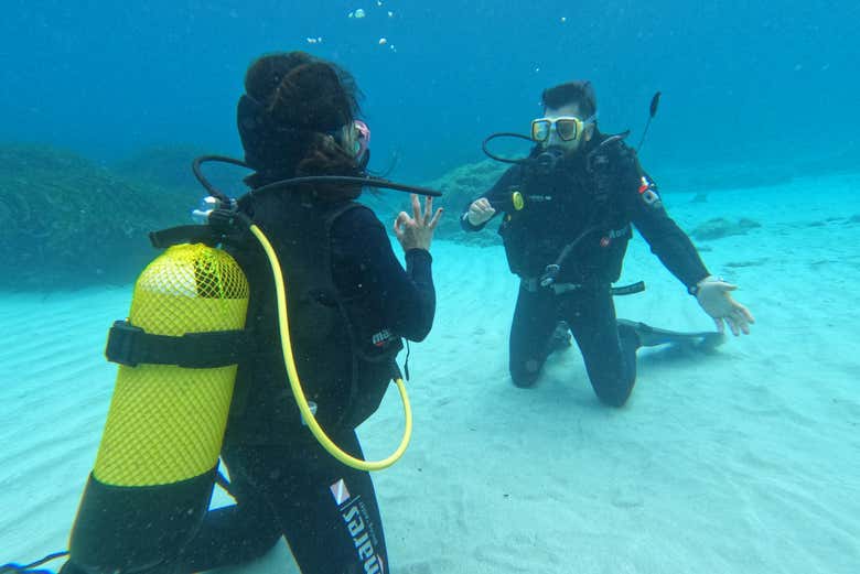 Curso De Mergulho Padi Open Water Em Son Xoriguer